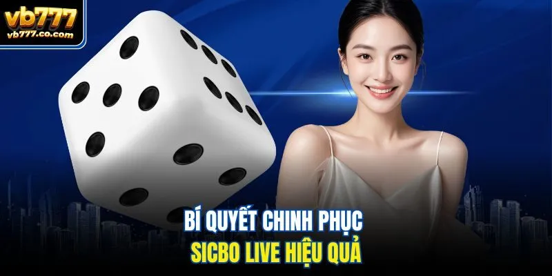 Bí quyết chinh phục Sicbo live hiệu quả